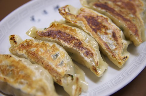 gyoza